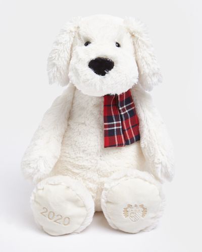 Paul Costelloe Living Teddy